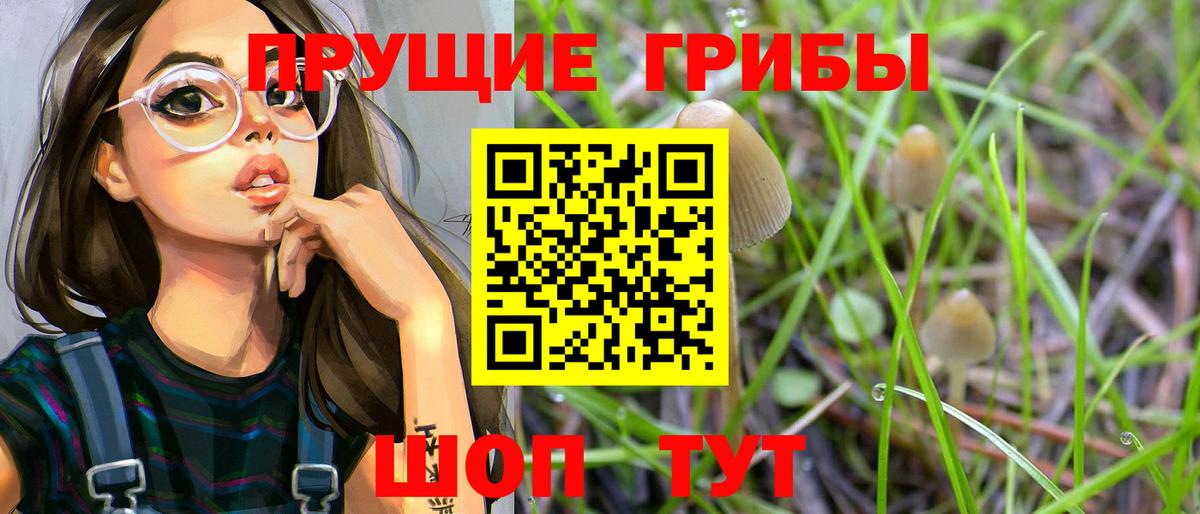 Верхний Уфалей  Псилоцибиновые грибы Psilocybine cubensis  Вход с VPN 